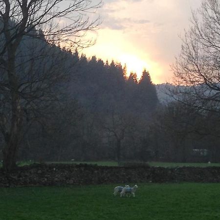 Вилла Tyddyn Bach Barn Бетс-и-Койд Номер фото